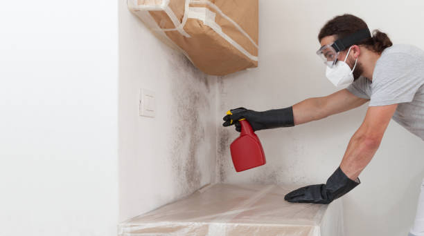 Professional Attic Mold Remediation technician working in Hampstead, NC