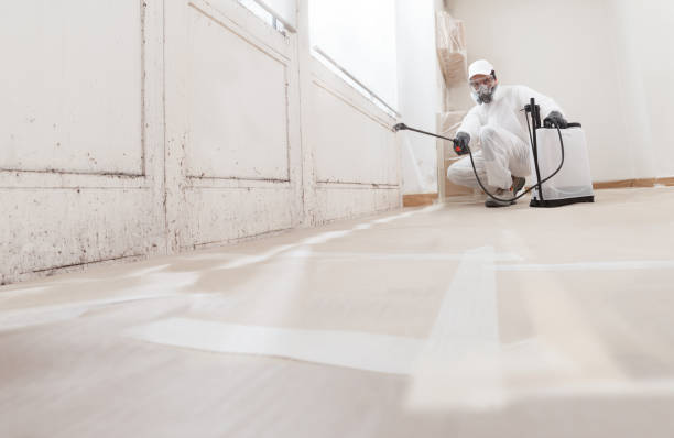 24/7 Emergency Attic Mold Remediation experts in Hampstead, NC